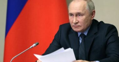 Putin do të flasë në takimin e liderëve të G20