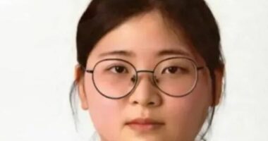 Horror në Korenë e Jugut/ 23-vjeçarja godet 100 herë me thikë një grua nga kurioziteti