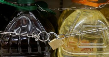 Rritet çmimi i vajit të ullirit në Spanjë, supermarketet vendosin pajisje kundër vjedhjes