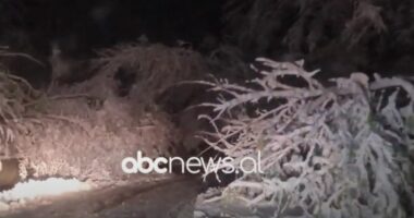 Moti i keq/ Rihapet aksi Peshkopi-Maqellarë. Pemë të rrëzuara, tela dhe përcjellësa të këputur nga pesha e borës