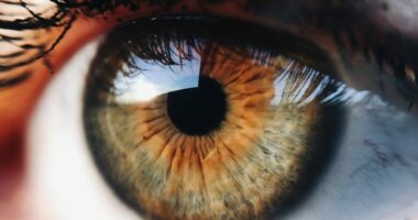 Disa mënyra të thjeshta si të kujdeseni për shëndetin e syve