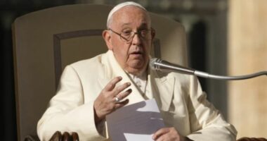 Dhuna dhe vrasja e grave, Papa Françesku: Është e nevojshme të edukohen burrat për marrëdhënie të shëndetshme