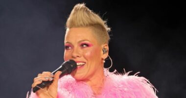 Gjesti i veçantë/ Pink do të dhurojë 2000 libra ‘të ndaluar’ në koncertet e saj
