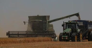 Ukraina vendos rregulla të reja për eksportet ushqimore