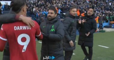 VIDEO/ Ofendime të renda në përfundim të ndeshjes, Guardiola dhe Nunez përplasen verbalisht