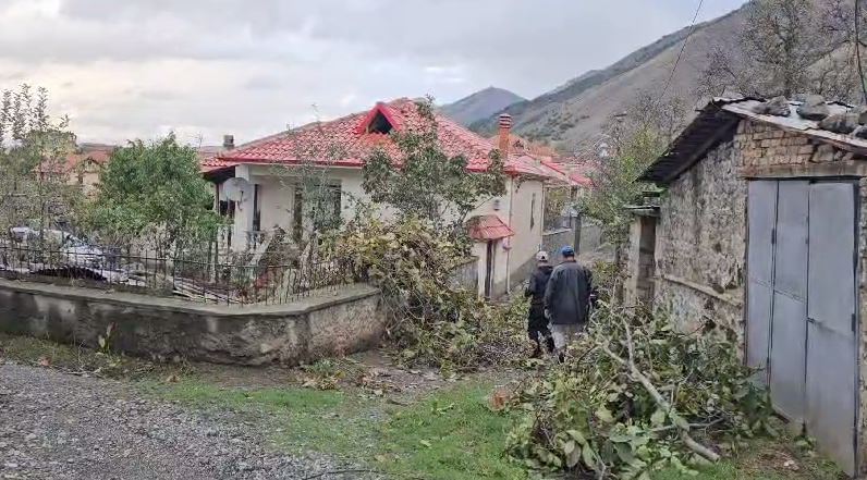 Stuhia e orëve të fundit në Korçë/ Rrëzohen disa pemë në Drenovë, dëmtohen banesa dhe shkolla 9-vjeçare
