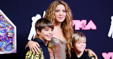 Kush janë të famshmit me IQ më të lartë? Shakira në vendet e para