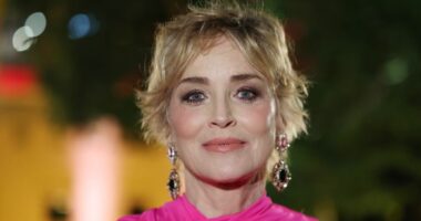 Sharon Stone zbulon se është ngacmuar seksualisht nga producenti