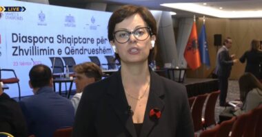 “Investimet e diasporës në Shqipëri, në rritje”, Katiaj: Duhet një vëmendje më e shtuar dhe politika më nxitëse