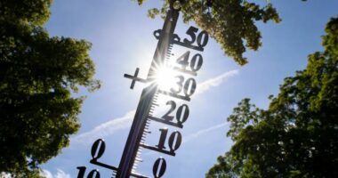 Shqetësimi i shkencëtarëve: Temperaturat rekord në 2023 japin sinjal alarmi