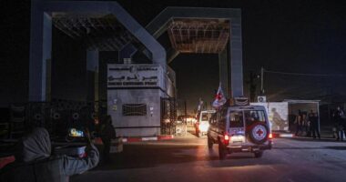 Hamasi i dorëzon “Kryqit të Kuq” 13 pengje izraelite