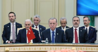 Erdogan: Bota e unifikuar turke do të ndihmojë në arritjen e paqes në konfliktin Izrael-Palestinë