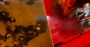 VIDEO/ Trazira nuk ka vet&euml;m n&euml; Milano, ultrasit e Antwerp shkaktojn&euml; &ldquo;panik&rdquo; n&euml; rrug&euml;t e Portos