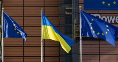 BE nënshkruan marrëveshje me Ukrainën për të rritur prodhimin e dronëve