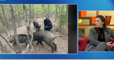 Gruaja e parë në Federatën e Gjuetarëve të Kosovës: Që fëmijë babai më ka mësuar të përdor armën