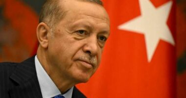 Lufta Izrael-Hamas, Erdogan viziton sot Gjermaninë