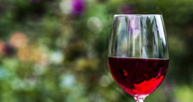 Shkencëtarët kanë zbuluar pse edhe pak verë mund të shkaktojë dhimbje koke