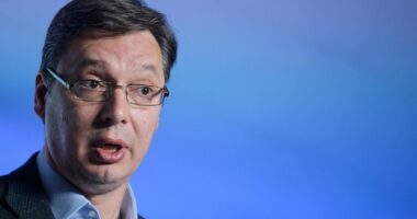 Vuçiç hap profil në TikTok dhe bëhet viral: Përshëndetje! Unë jam Aleksandri