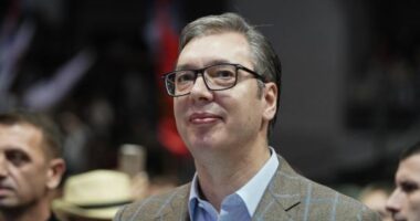 Zgjedhjet, Vu&ccedil;i&ccedil;: N&euml;se fitojm&euml;, Serbia nuk do t&euml; ndalet!