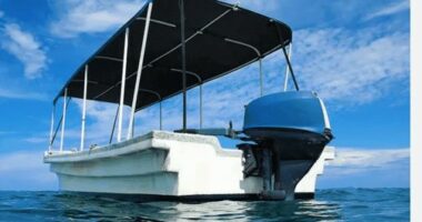 Tragjedi në Bahamas/ Fundoset varka me turistë, një i vdekur