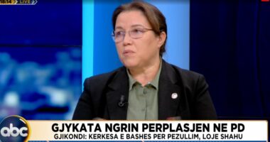 Gjykata ngrin përplasjen në PD/ Gjikondi: Kërkesa e Bashës për pezullim, një lojë shahu