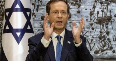 Presidenti izraelit: Të gatshëm për një tjetër pauzë humanitare