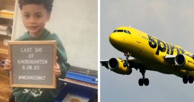 Si në filmin “Home Alone”, 6 vjeçari përfundon në avionin e gabuar