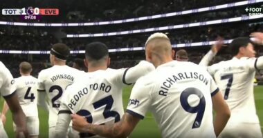 VIDEO/ Zhbllokohet rezultati, Tottenham ndëshkon Everton