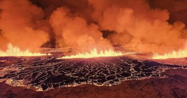 VIDEO/ Shpërthen vullkani në Islandë, mijëra banorë u evakuuan