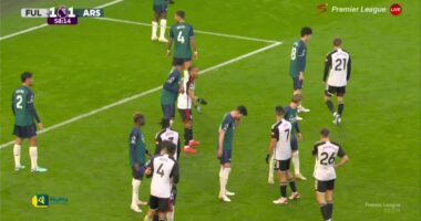 VIDEO/ Devijim i Cordova-Reid, Fulham shokon &ldquo;Top&ccedil;injt&euml;&rdquo;, n&euml; &ldquo;Craven Cottage&rdquo;