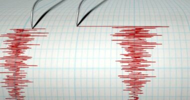 Tërmet i fuqishëm godet Indinë, sa ishte magnituda