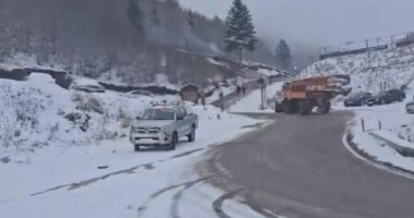 Reshje shiu dhe bore, ARRSH apel shoferëve: Respektoni sinjalistikën