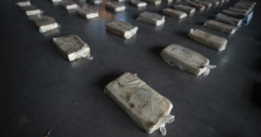 Ndryshojn&euml; ligjet n&euml; Kolumbi/ Hiqen gjobat p&euml;r p&euml;rdoruesit e vegj&euml;l t&euml; drog&euml;s