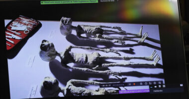 Misteri i ‘alienëve’ të Meksikës, flet eksperti: 30% e ADN-së së tyre është nga një specie e panjohur