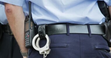 EMRI/ Tentoi t’i ikte prej duarsh Policisë, arrestohet 38-vjeçari në kërkim ndërkombëtar