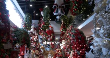 Dekorimet për festat/ Pema, Babagjyshi dhe dritat simboli i Krishtlindjes