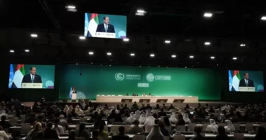 Rekord, mbi 80 mijë pjesëmarrës në konferencën e OKB-së për klimën