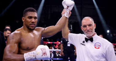 Boks për peshat e rënda, Joshua “shkatërron” Otto Wall