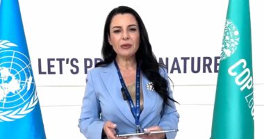 Balluku në Emiratet e Bashkuara Arabe: Ka qenë ditë e rëndësishme në COP 28 , fokusi tek ndryshimet klimaterike