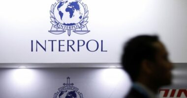 Detaje/ Interpol shkatërron grupet e kontrabandës, mbi 1 700 të arrestuar gjatë bastisjeve në Azi