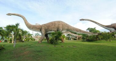 Teori e re shkencore: Dinozaurët u “vranë” nga ndryshimet klimatike