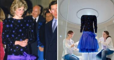 Fustani i Princeshës Diana shitet për më shumë se një milion euro në ankand