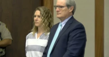 Jepte këshilla prindërore në Youtube, blogerja arrestohet për abuzimin e fëmijëve të saj