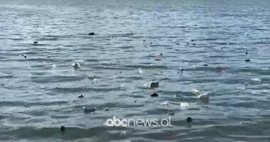 Mbetjet mbulojnë liqenin e Fierzës/ Prurjet e lumenjve sjellin nga Maqedonia e Veriut dhe Kosova tonelata mbeturinash