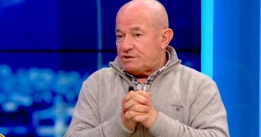“Berisha po luan viktimën”, Meçe: Me ekspozimin e Argitës i tregojë demokratëve testamentin e vdekjes politike