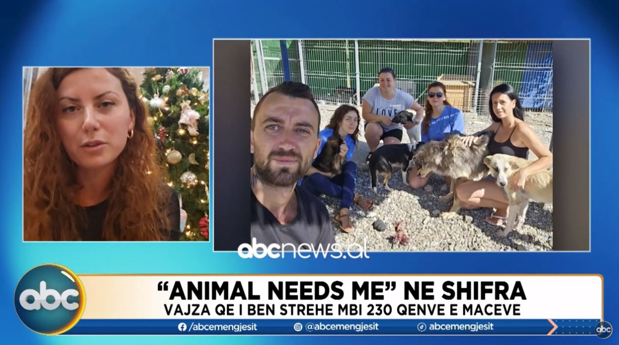 Oli, engjëlli mbrojtës i kafshëve të braktisura: Në Kanada kam marrë 12 kafshë nga Shqipëria
