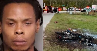 “I pushtuar nga demonët”, 39 vjeçari tentoi të djegë për së gjalli djalin e partneres