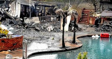 10 tragjeditë famëkeqe të Krishtlindjeve