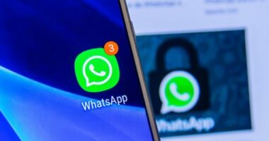 Franca iu kërkon anëtarëve të kabinetit të mos përdorin më WhatsApp