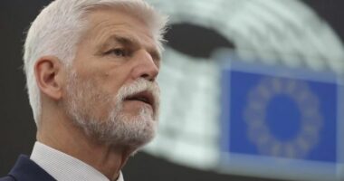 “Tregojini dhëmbët Rusisë”/ Presidenti çek kërkon reagim më të fortë nga NATO